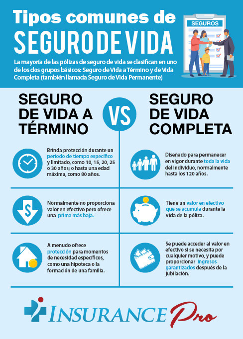 Seguro De Vida Completa - Insurance Pro Fl Español