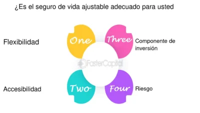 Futuro seguro seguro de vida ajustable explicado - FasterCapital