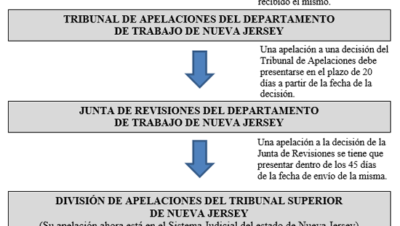 Una descripción general del proceso de apelación en un caso de ...